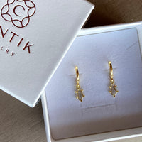 Salt and Pepper Diamond Slice Earrings