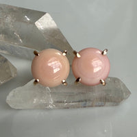 Pink Queen Conch Shell Stud Earrings