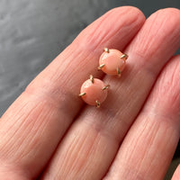 Pink Queen Conch Shell Stud Earrings
