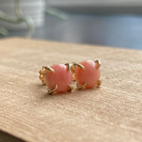 Pink Queen Conch Shell Stud Earrings