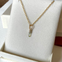 Watermelon Bicolor Tourmaline Crystal Pendant Necklace, October Birthstone Gift