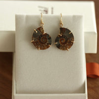 Madagascar Fossil Ammonite Earrings