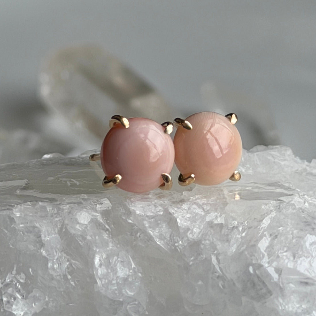 Pink Queen Conch Shell Stud Earrings