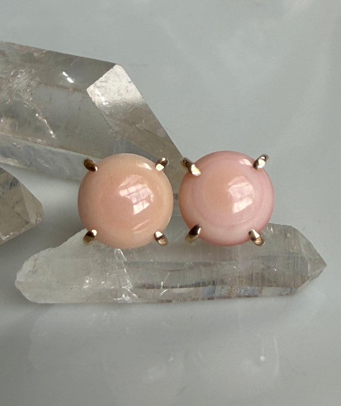 Pink Queen Conch Shell Stud Earrings