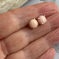 Pink Queen Conch Shell Stud Earrings