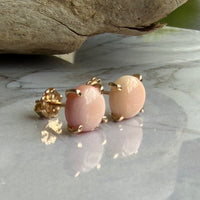 Pink Queen Conch Shell Stud Earrings