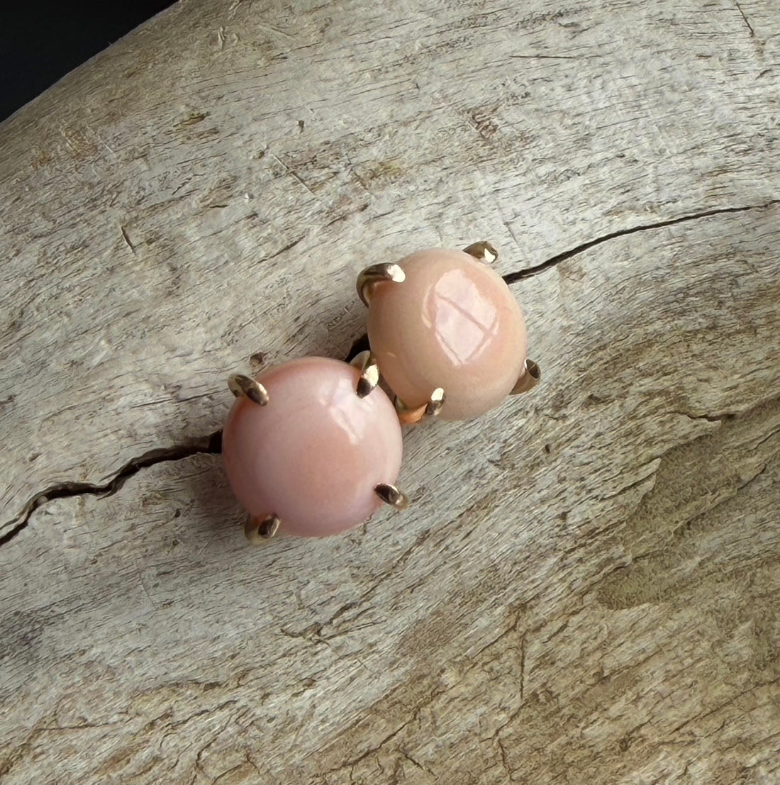 Pink Queen Conch Shell Stud Earrings