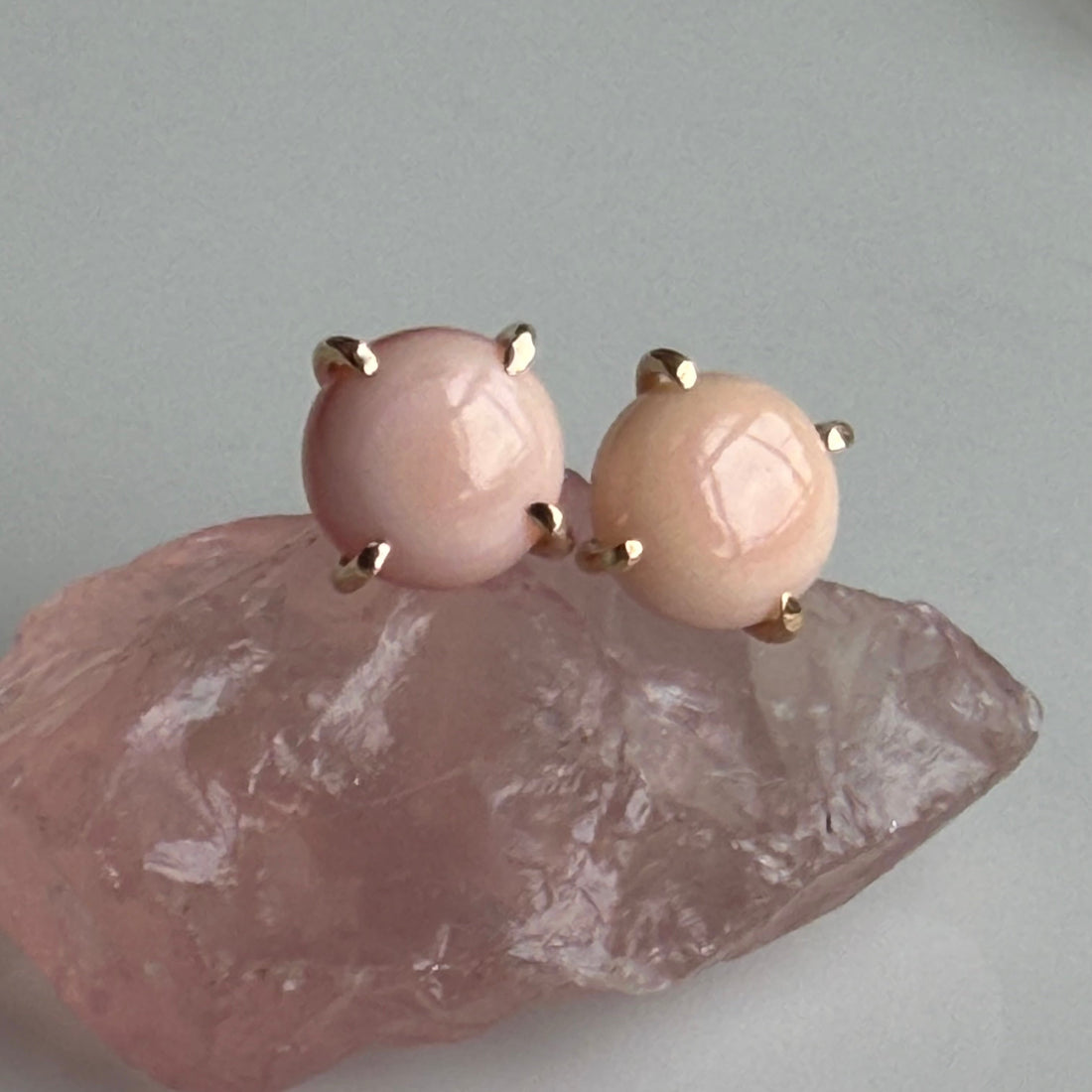 Pink Queen Conch Shell Stud Earrings