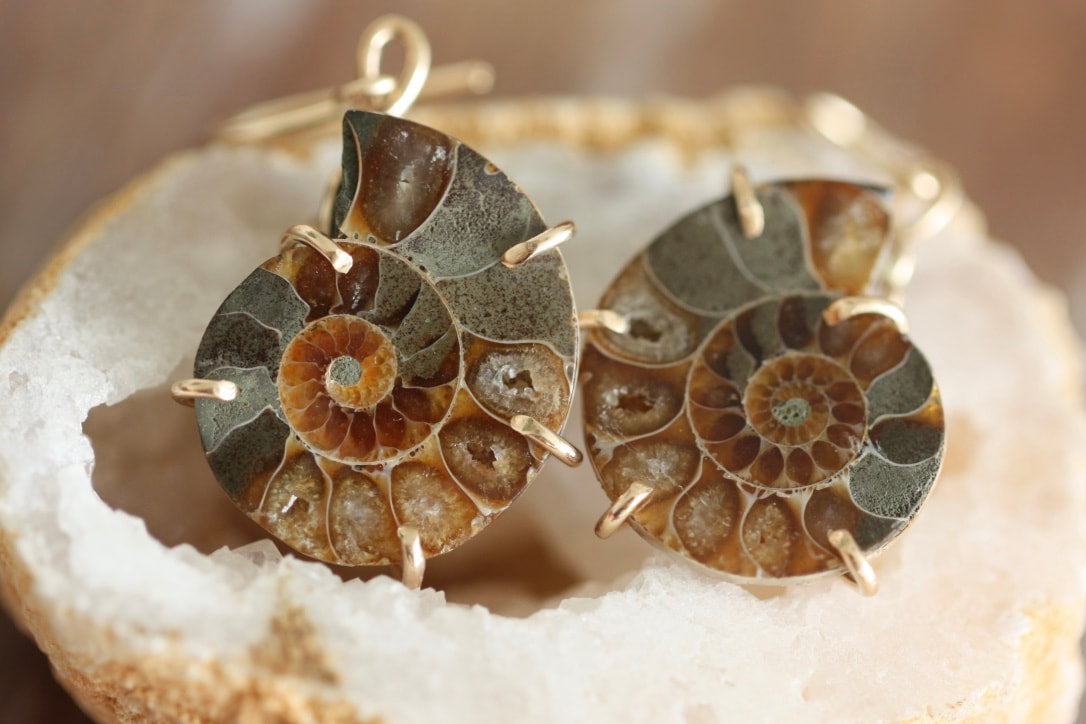 Madagascar Fossil Ammonite Earrings